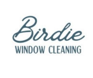 Birdie-Window-Cleaning-pic